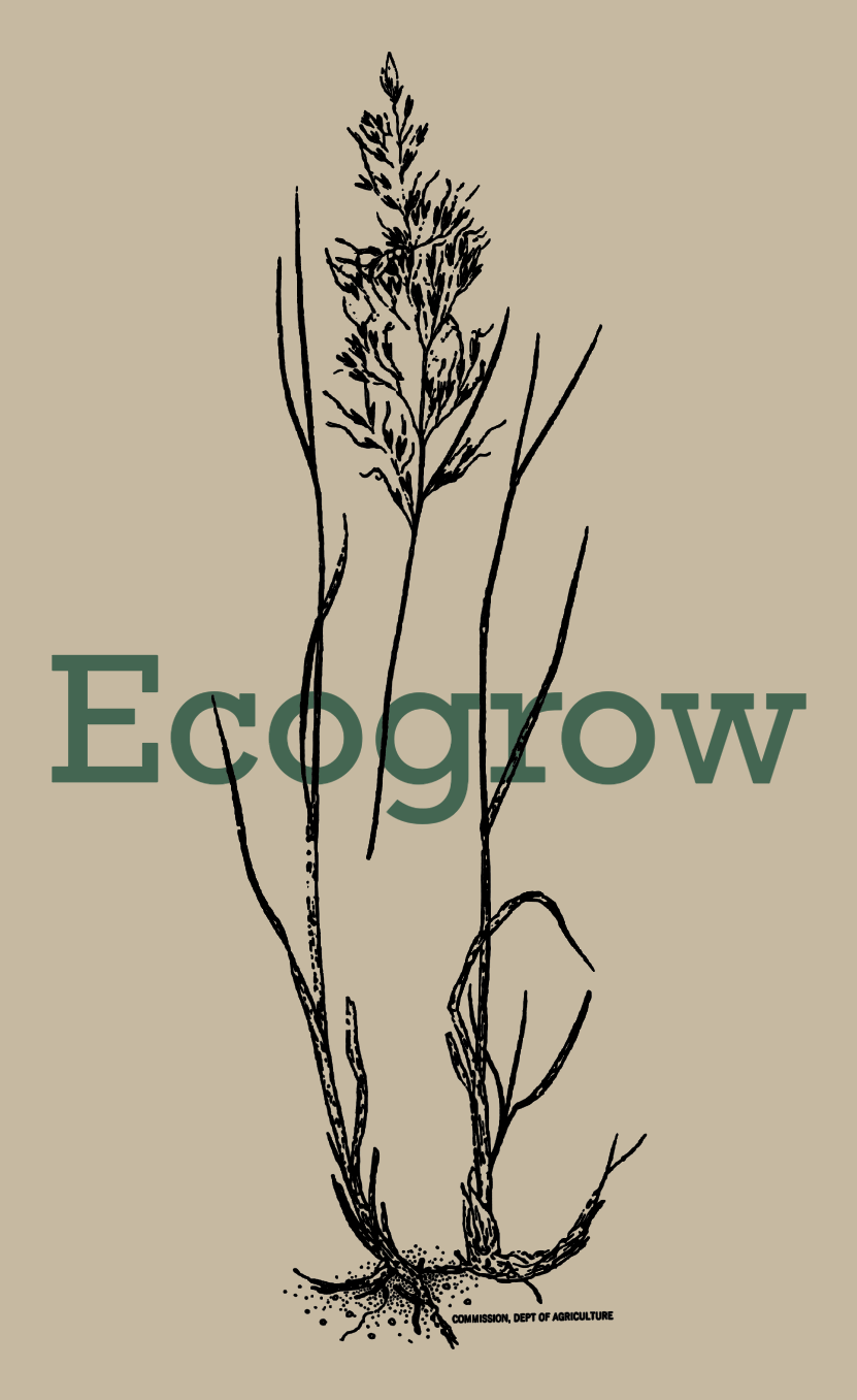 Ecogrow native landscaping Texas Hill Country