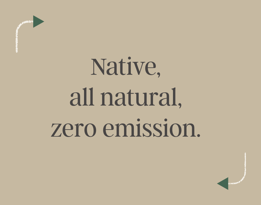 Ecogrow zero emission lawn care Texas